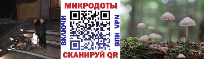 Псилоцибиновые грибы Cubensis Лебедянь
